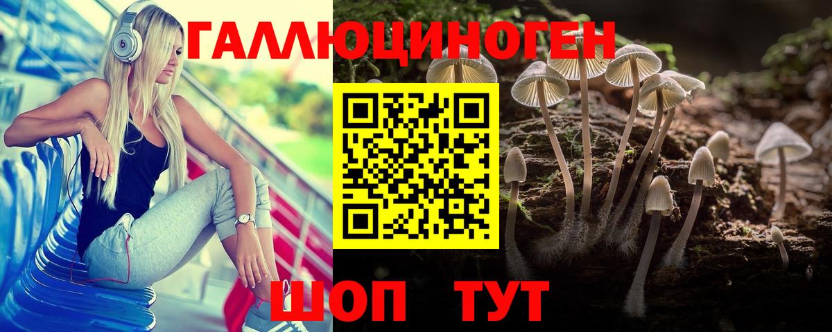 Галлюциногенные грибы мицелий Дубна