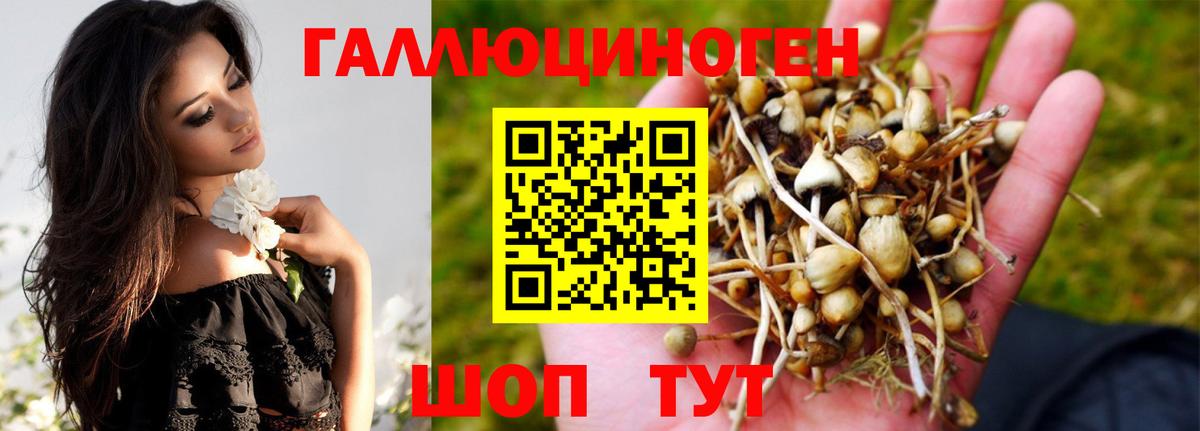 Псилоцибиновые грибы мицелий  Вход с VPN  Дубна 
